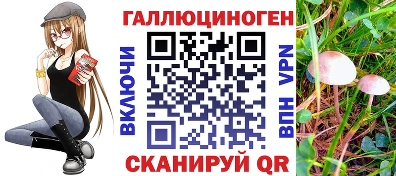 Галлюциногенные грибы прущие грибы  Купить  Искитим 